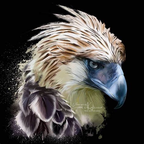Top 10 philippine eagle drawing ideas and inspiration .